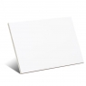 At Blanco Brillante  33,3x55 (Caja de 1.84m2)