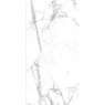 Spc Calacatta Snow Vilo 60x120 (Box 2,88m²)