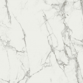 Spc calacatta neige 120x265 (boîte 6.36m2)