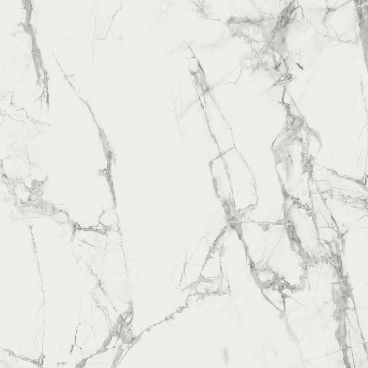 Spc Calacatta Neve 120x265 (Box 6.36m2)
