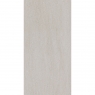 SPC Idevo Mineral Light 110x55 (Box 2,42m²)