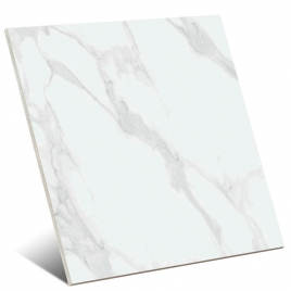 Purity White 120x120 (Box 1.416 m²)