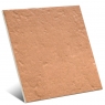 Canem Terra Canem Season 20x20 (Caja 1m2)