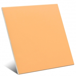 Normandy Technical Tangerine tendre 20x20 (Boîte 1m2)