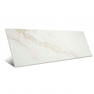 Tabit Gold 33.3x100 (Pack 10.64m2)