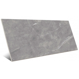 Dagma Gray 60x120 (Caixa 1,44 m2)