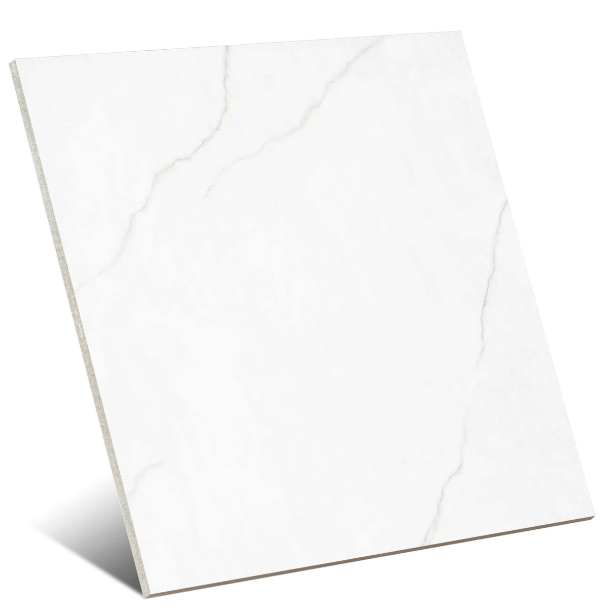 Polar Silver 100x100 (Caja 2.00m2)