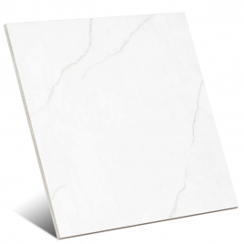Polar Silver Pulido 60x120 (Caja 1.44m2)