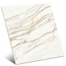 Venato Gold Brillo 60x60 (Caja 1.44m2)