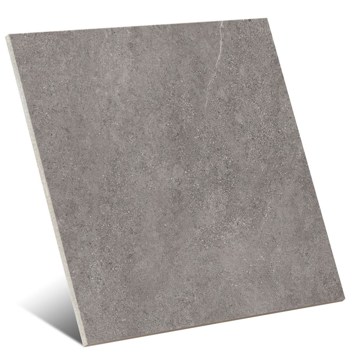 Arenite P.E Dark Grey 100x100 (Caja 1,98m2)