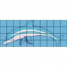 Marine dolphin pool bottom