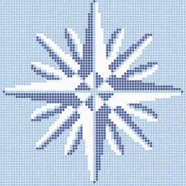 Fond de piscine en étoile