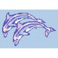 Pool Bottom Dolphin Couple