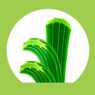 Relva artificial de 30mm de altura - Piscinas e jardim Naturf