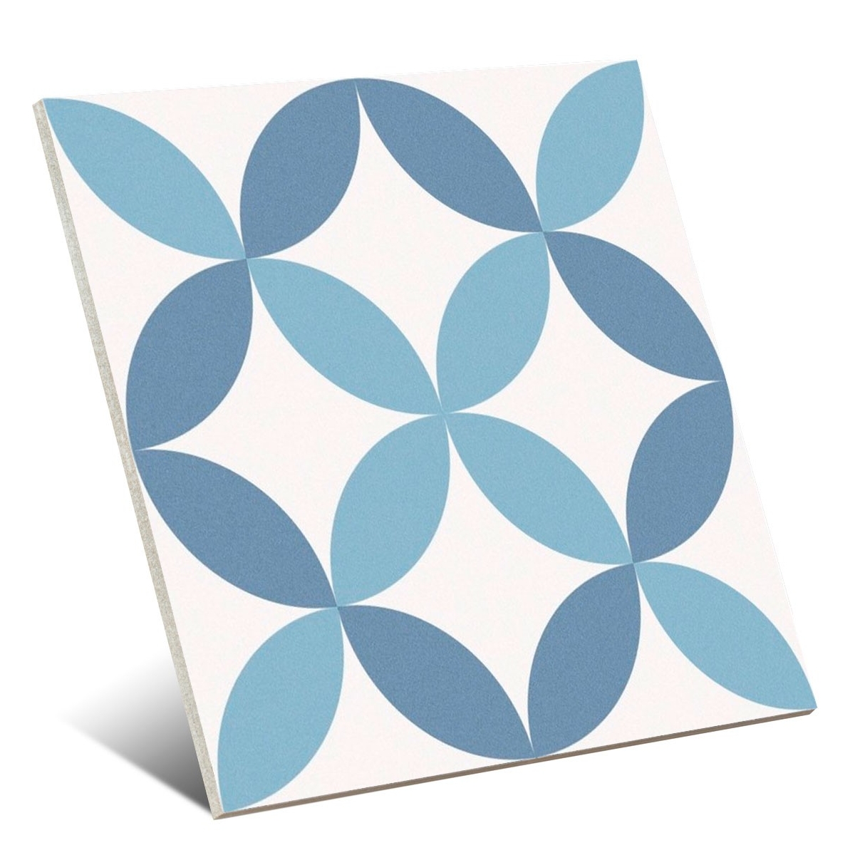 Arco de Barcelona 25x25 (m2)