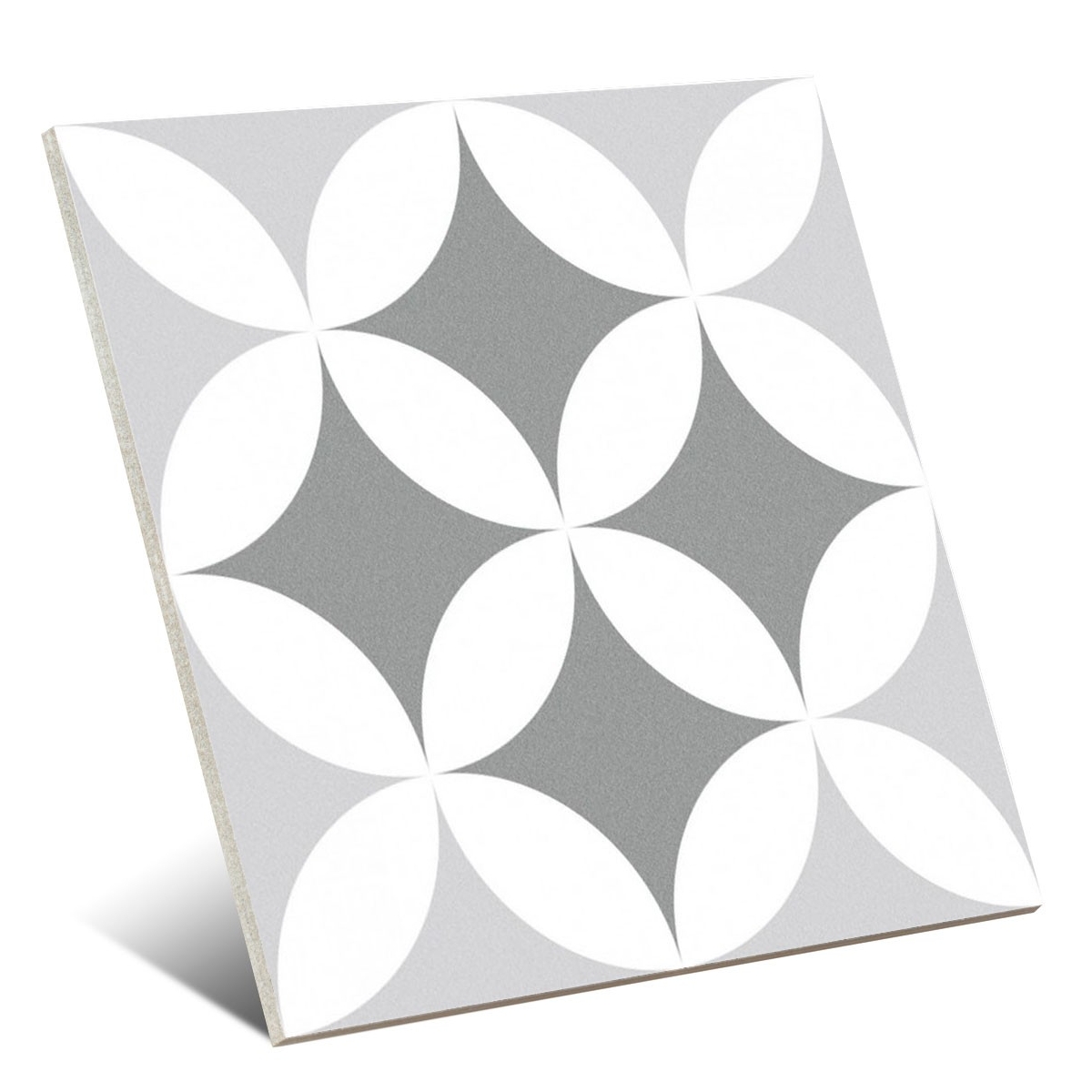 Triump de Barcelone 25x25 (m2)