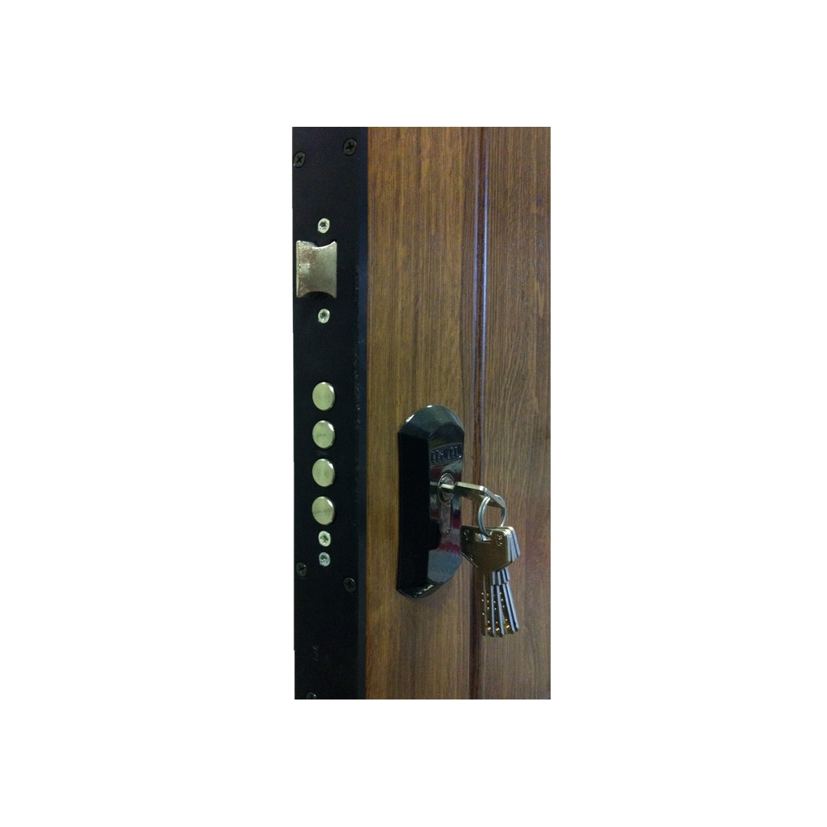 Triana double leaf armored door