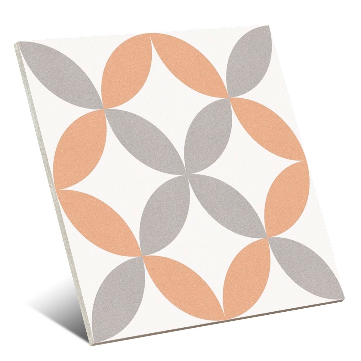 Valencia Carmen 25x25 (m2)