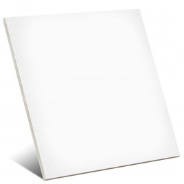 Base 1900 Blanc 20x20 (m2)