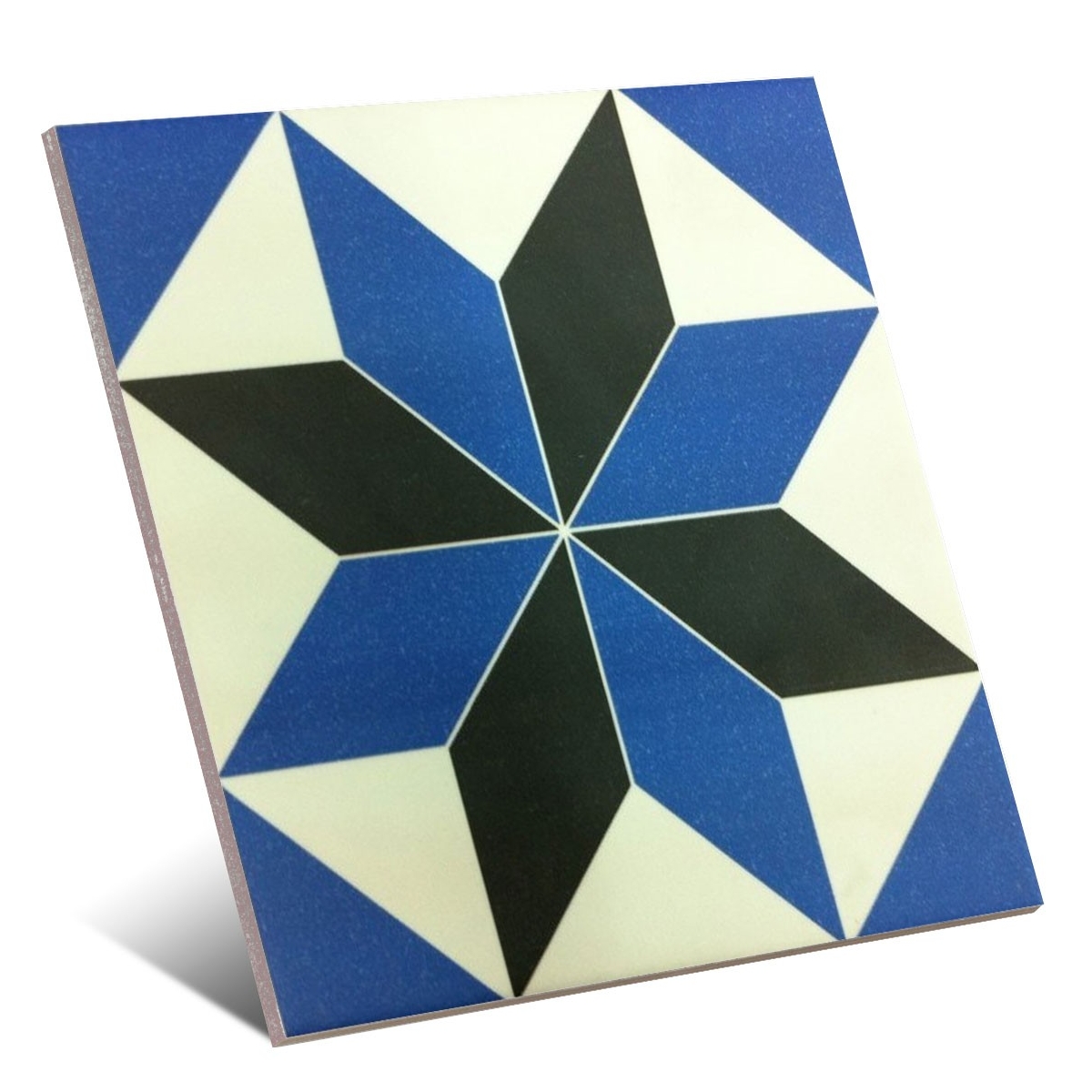 Centre Géo Victorien 20x20 (m2)