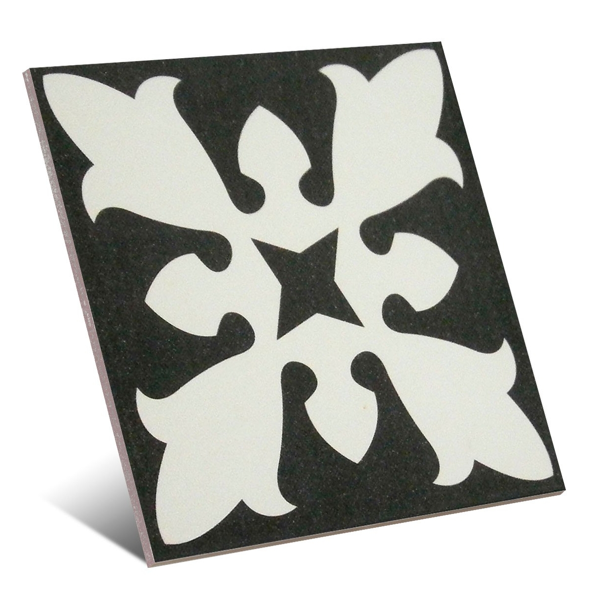 Centre noir Sofia 20x20 (m2)