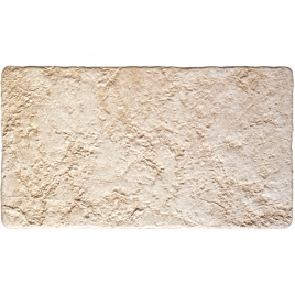 Fortaleza Cream 26.3x47.5 (box 1 m2)