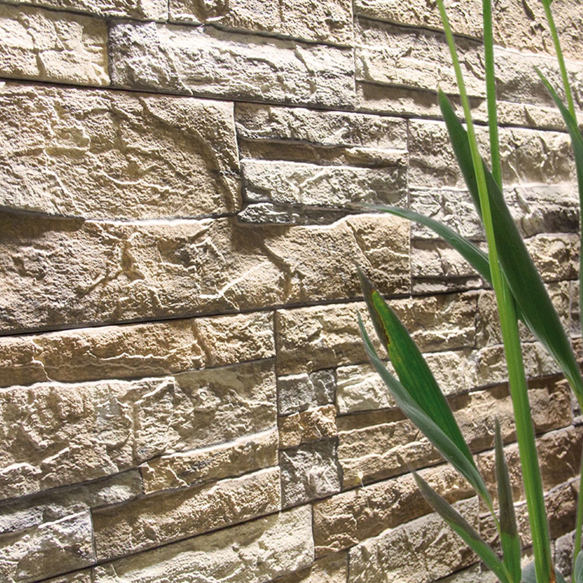 Neptuno Cream (m2) - Neptuno Series - Brand Azulejos el Mijares