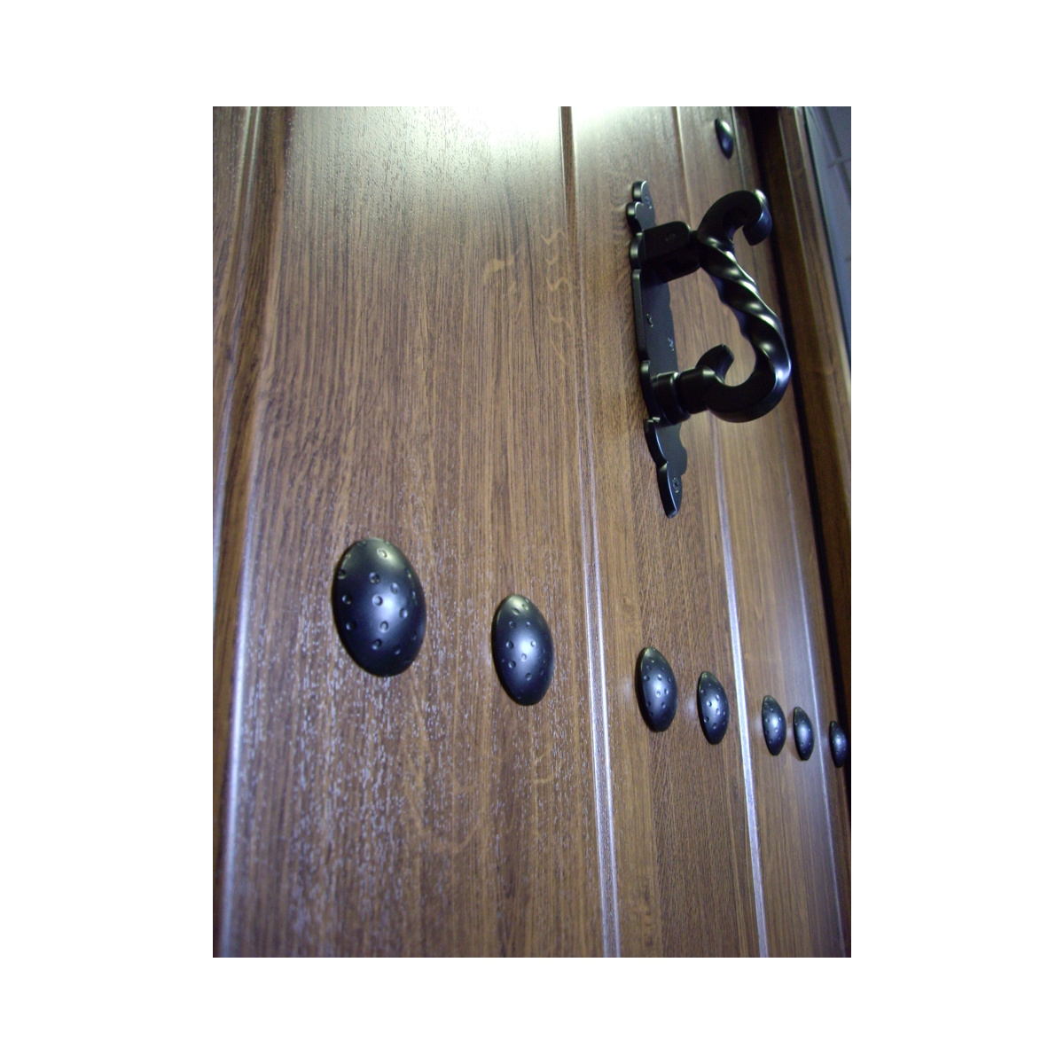 Cearco Porta Blindada Triana