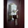 Verona door lock shield