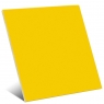 Lemon Plain 20x20 (caixa de 1 m2)