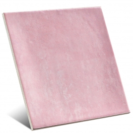 Nazarí-Geißblatt 15x15 cm (Schachtel 1 m²)