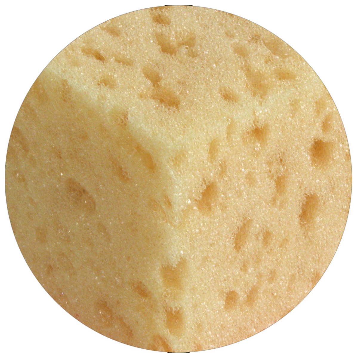 SUPERPRO Schwamm 20x13x7 cm