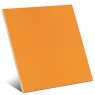 Arancio Gloss Color 20x20 cm (box 1 m2)