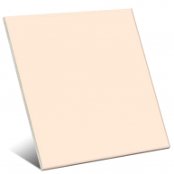 Beige Gloss Color 20x20 cm (boîte 1 m2)