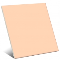 Beige foncé brillant Couleur 20x20 cm (boîte 1 m2) - Mainzu