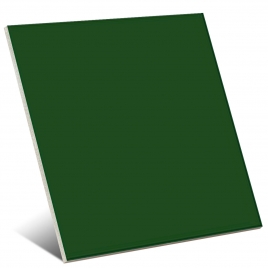 Couleur Vert Brillant 20x20 cm (boîte 1 m2)