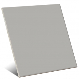 Pearl Gray Gloss Color 20x20 cm (box 1 m2)