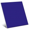 Cobalt Gloss Color 20x20 cm (boîte 1 m2)