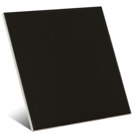 Color negro mate 20x20 cm (caja 1 m2)