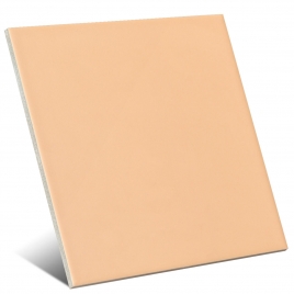 Color beige oscuro mate 20x20 cm (caja 1 m2)