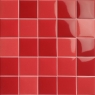 Piscina Porcelanato Vermelho 10x10