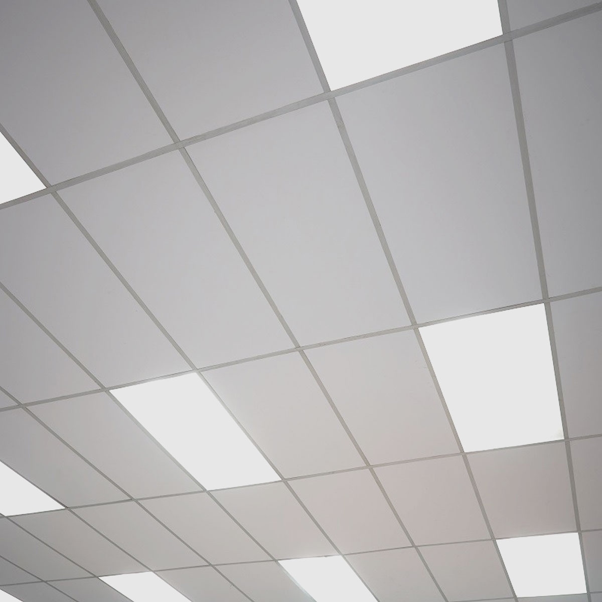 "Glatte" sichtbare Gipsplatte für abnehmbare Decke 100x60 (Packung 6u) - Grupo Unamacor