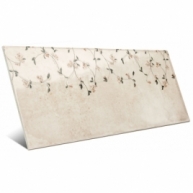 Catania cierre-minerva-15x30