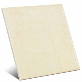 Litos Blanco 20x20 cm (caja 1 m2)