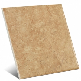 Litos Marrón 20x20 cm (caja 1 m2)