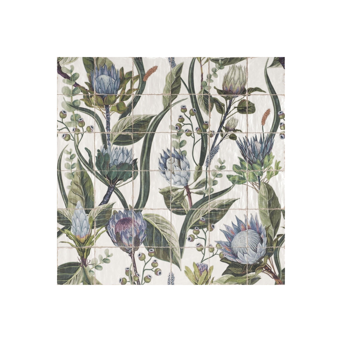 Livorno MURAL-PROTEA-20x20-MAINZU