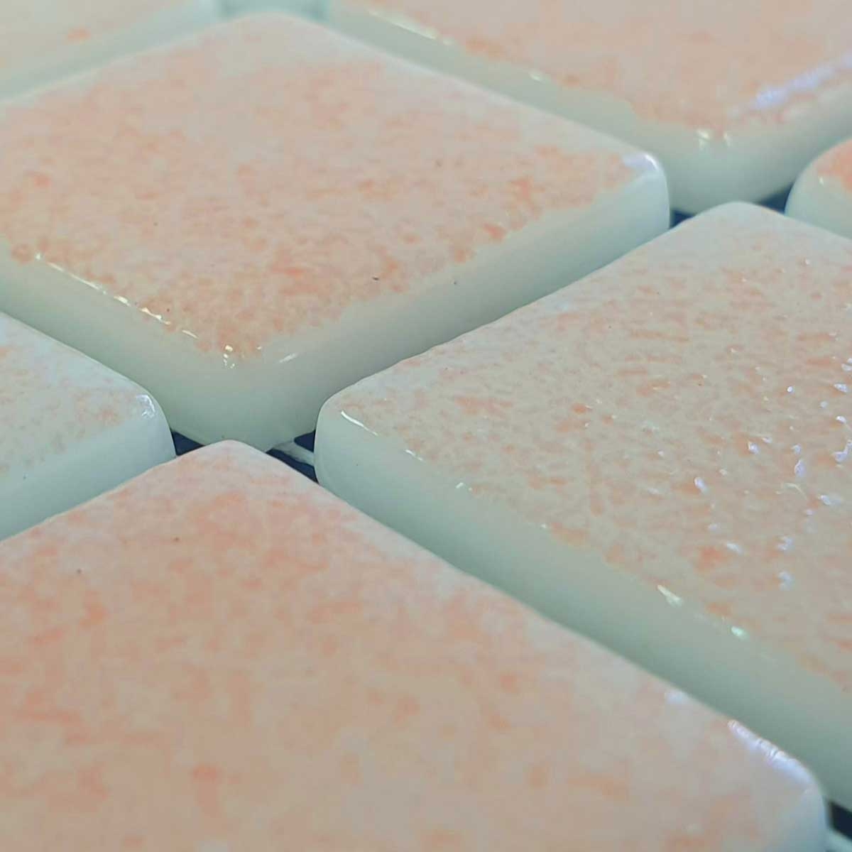 Tuiles de saumon de brouillard