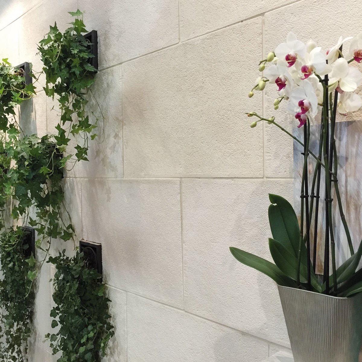 Revestimento de imitação de pedra Jerte - revestimento Verniprens