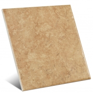 Castanho Lithos 20x20 Mainzu
