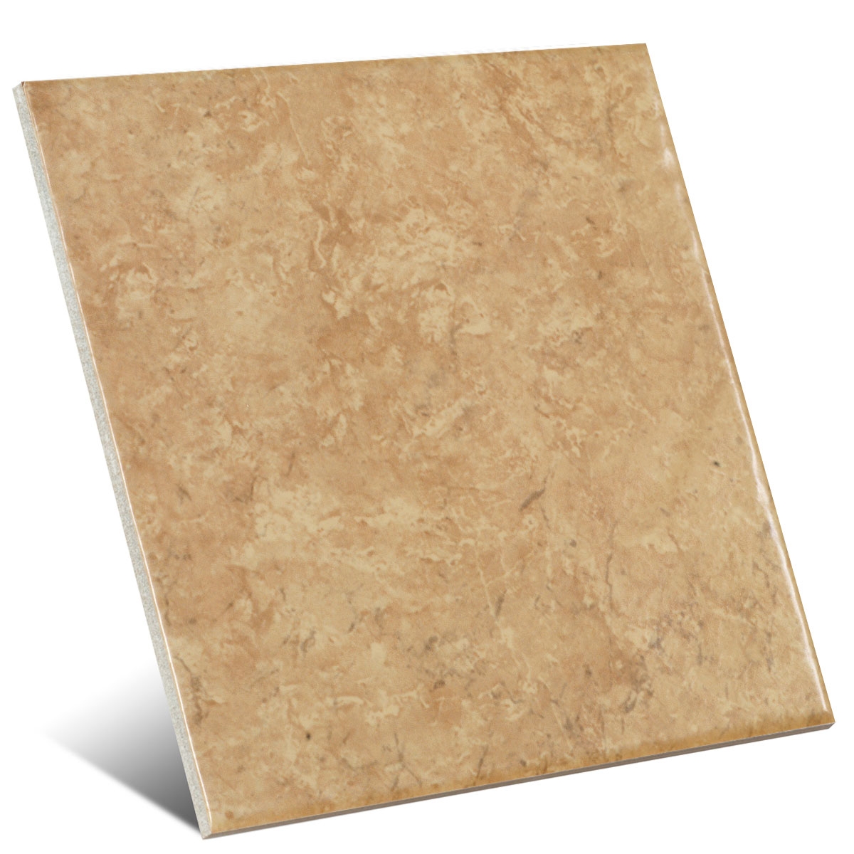 Lithos bruns 20x20 Mainzu